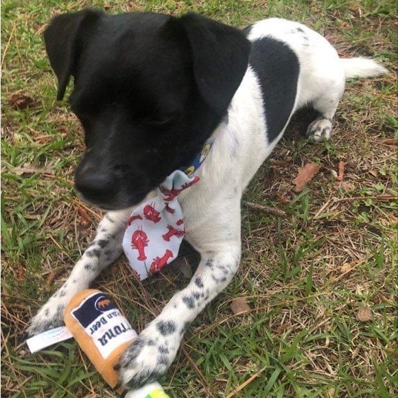 Meet your Posher, Nikki - Picture 6 of 6